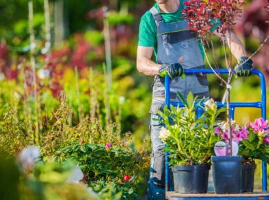 Quel type de chariot de jardin pour quelle tâche ?