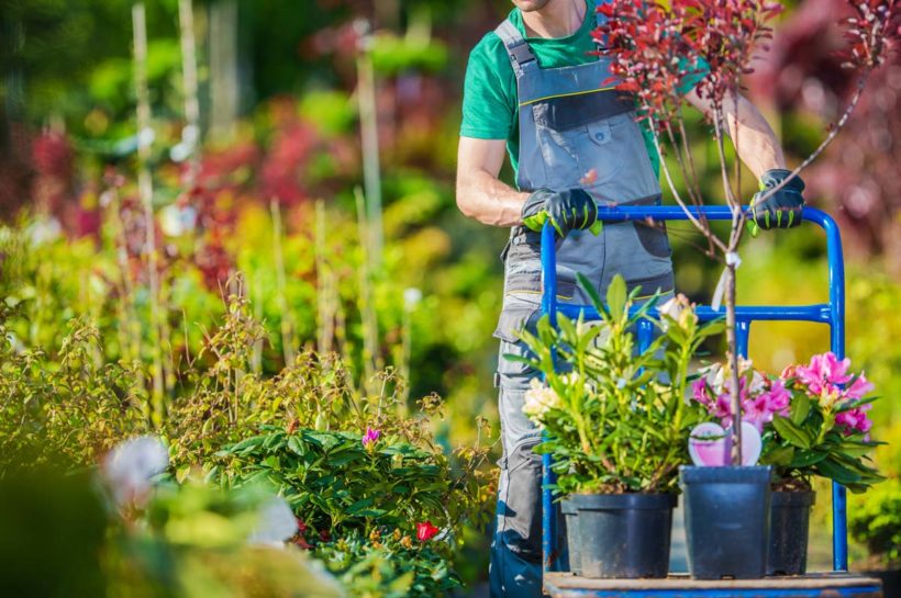 Quel type de chariot de jardin pour quelle tâche ?