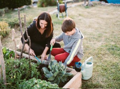 Comment construire un potager hors sol ?