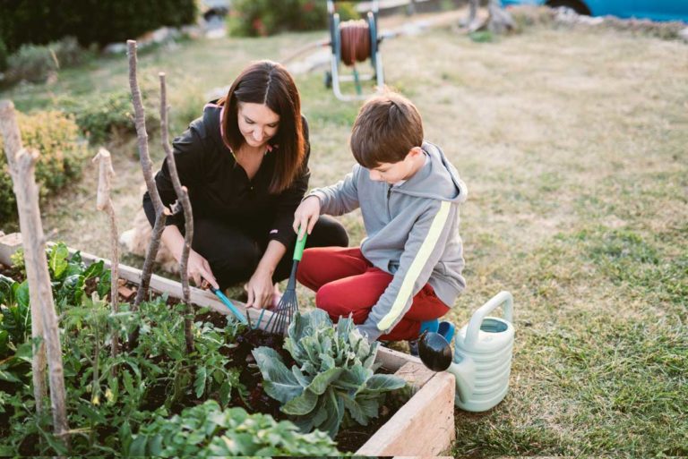 Comment construire un potager hors sol ?