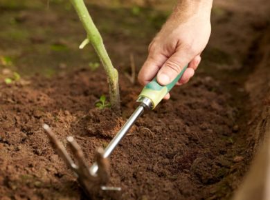 votre binette de jardin