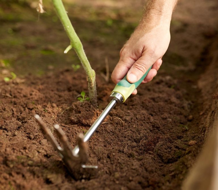 votre binette de jardin