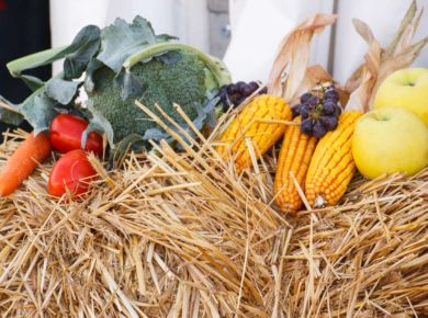 quelle paille pour votre potager ?