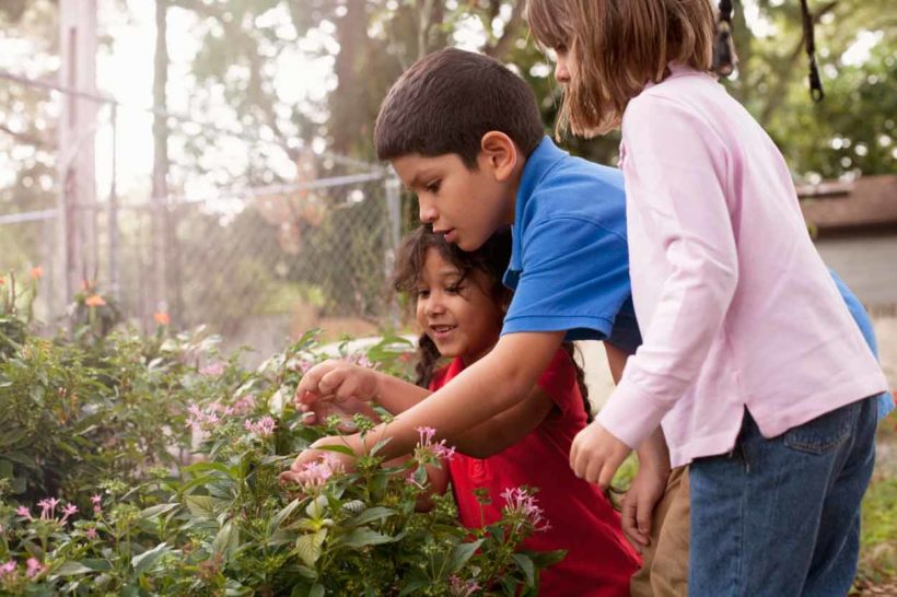 pourquoi jardiner avec ses enfants ?
