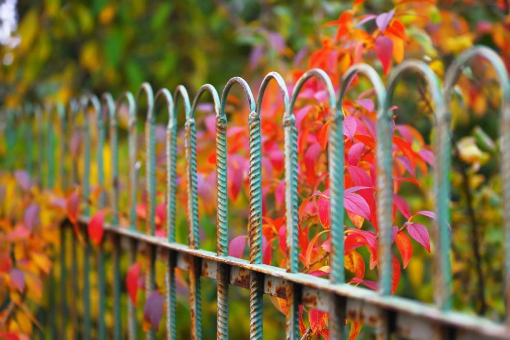 une clôture rigide pour votre jardin