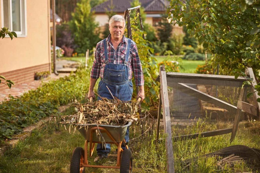 débarrasser le jardin des ronces et mauvaises herbes