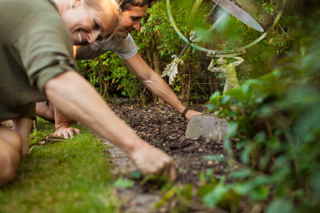 méthode pour enlever les ronces du jardin