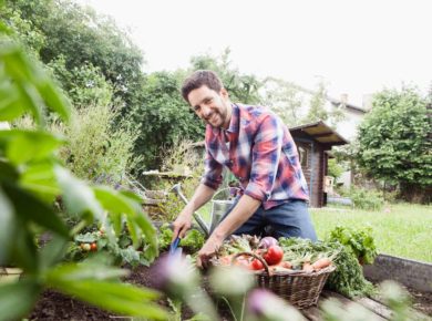 comment monter votre premier carré potager