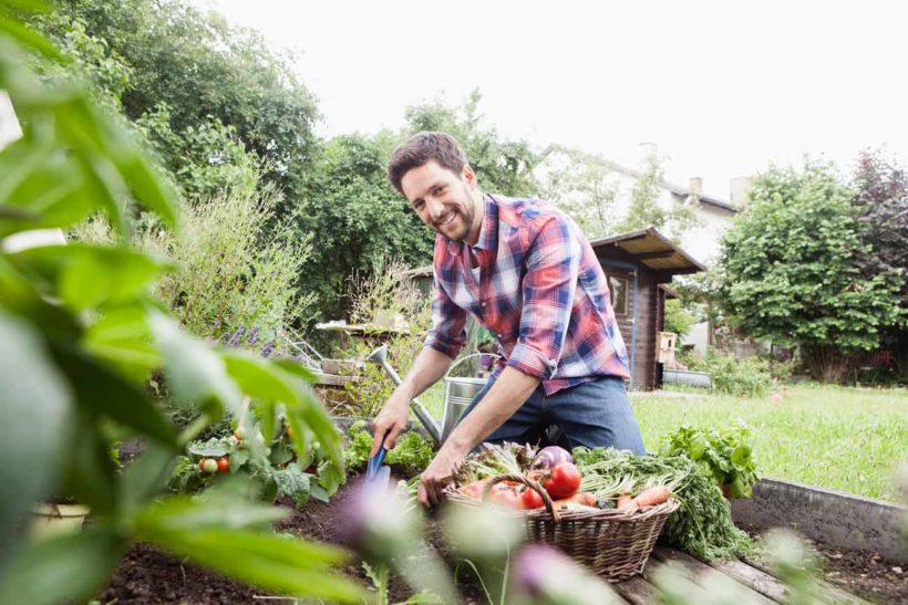 comment monter votre premier carré potager