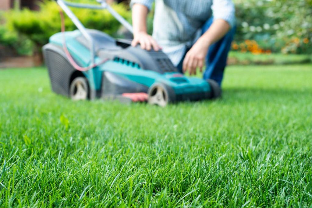 bien choisir une tondeuse pour son jardin