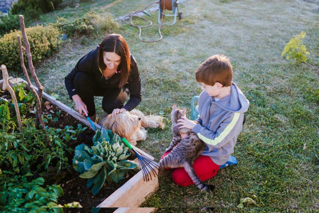 créer un potager en famille