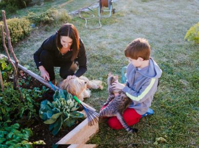 créer un potager en famille