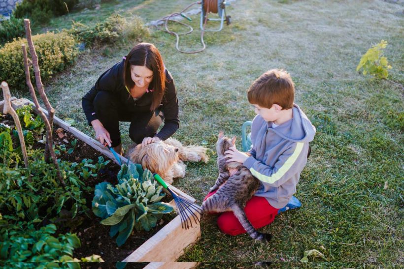 créer un potager en famille