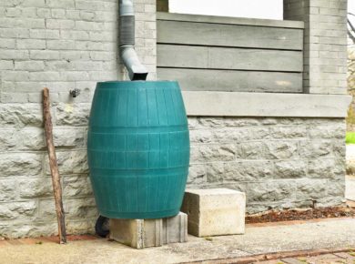 un récupérateur d'eau de pluie pour jardin