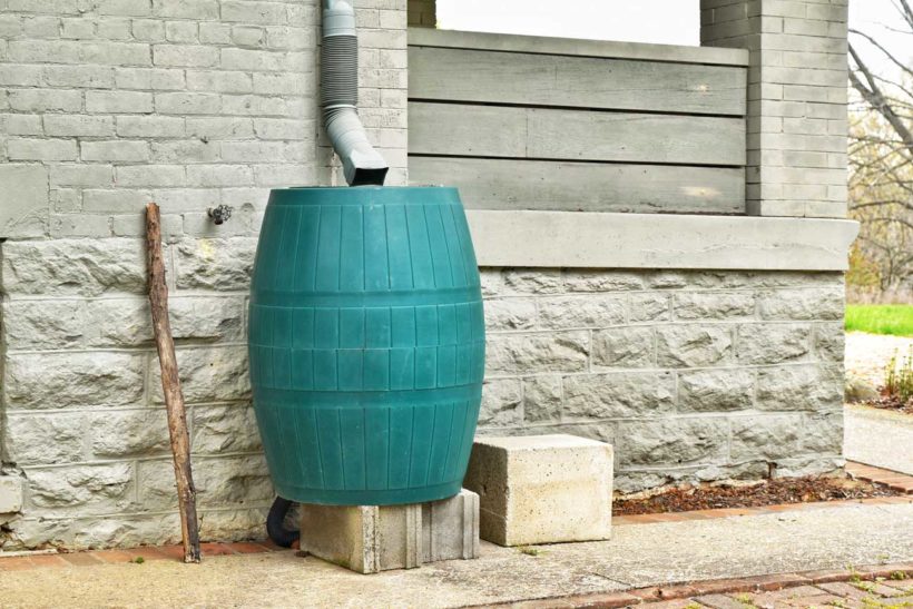 un récupérateur d'eau de pluie pour jardin