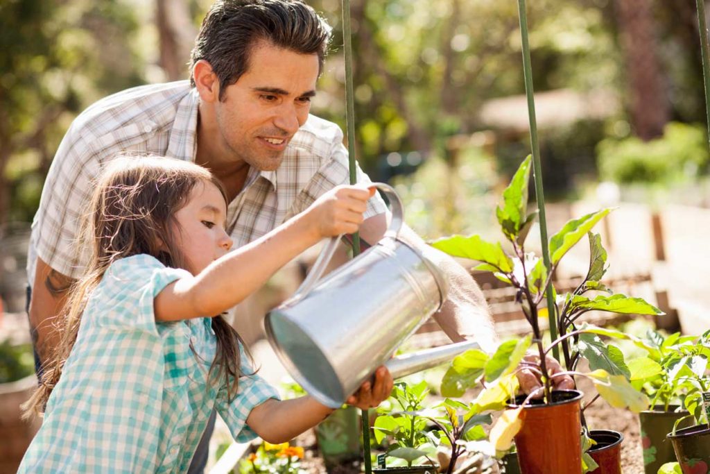 arroser ses plantes avec l'eau de pluie