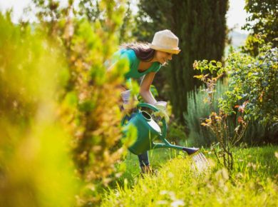 planter en mai pour avoir un jardin original