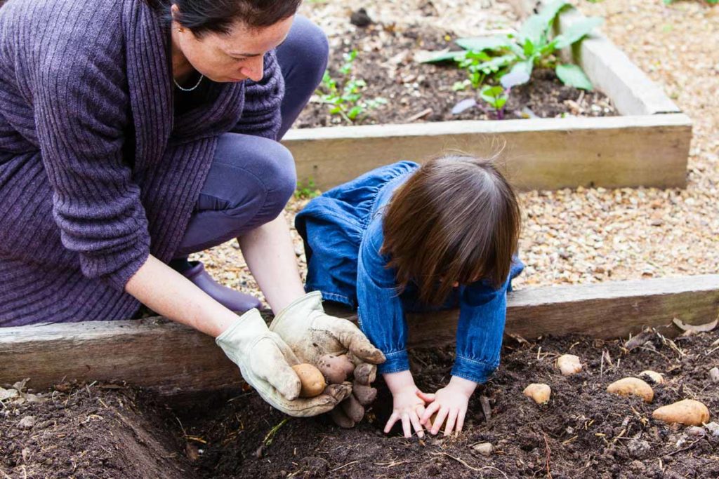 planter avec des tout petits