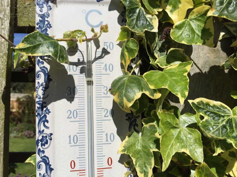 comment arroser son jardin en cas de fortes chaleurs