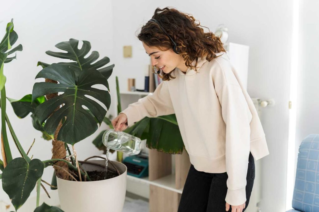 faire écouter de la musique à ses plantes : pourquoi ?