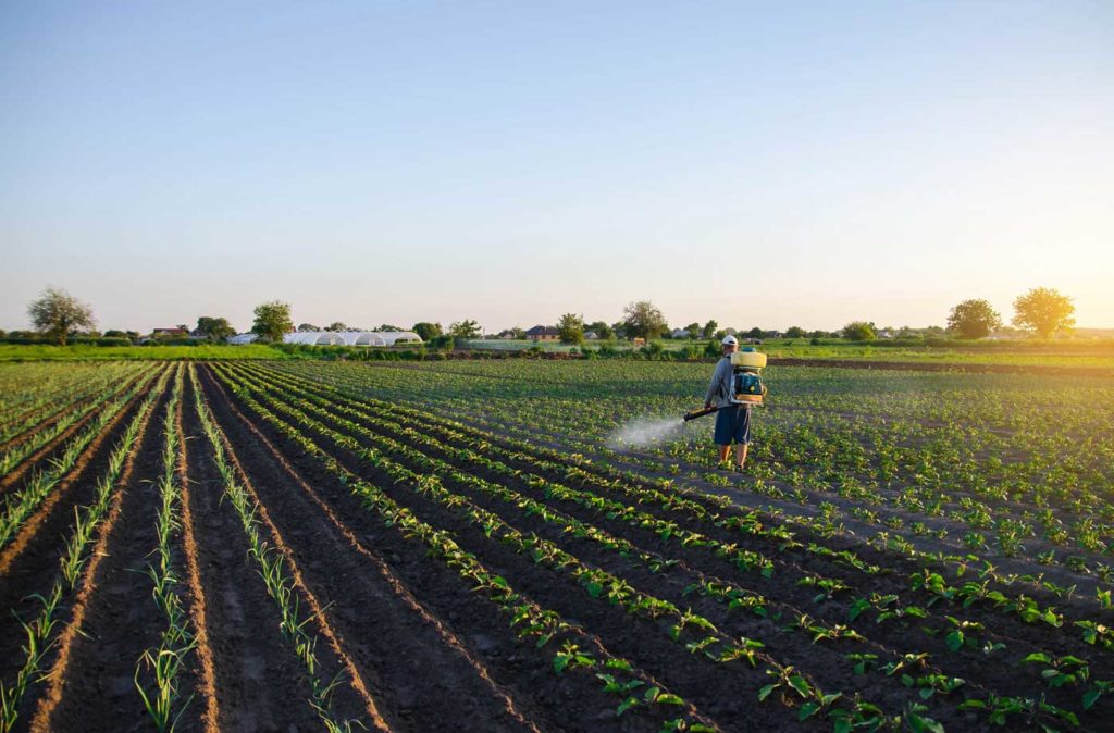 carte Adonis : niveau pesticides