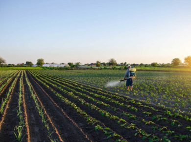 carte Adonis : niveau pesticides