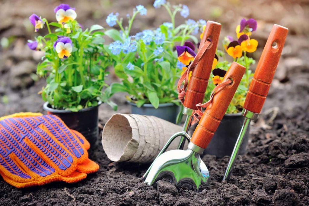 le petit outillage pour le jardin