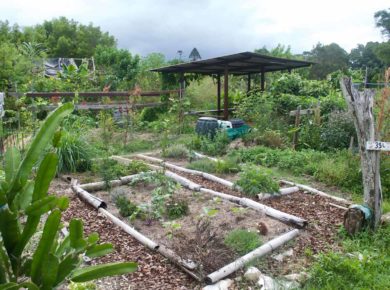 la permaculture : définition