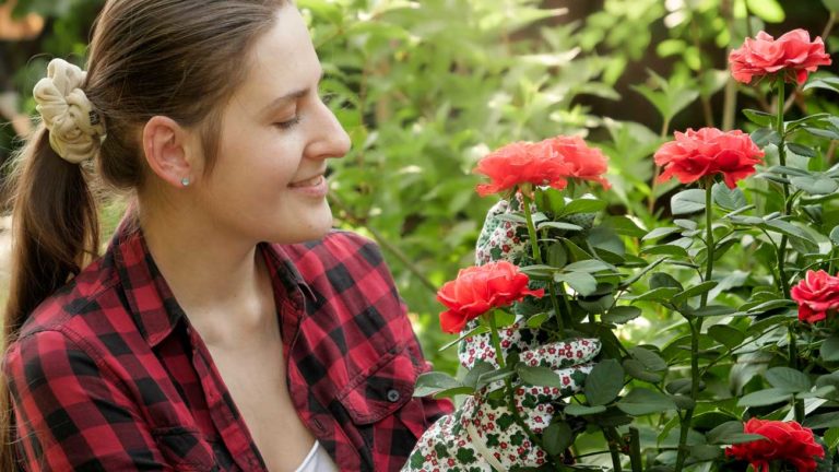 des roses à planter sur votre balcon