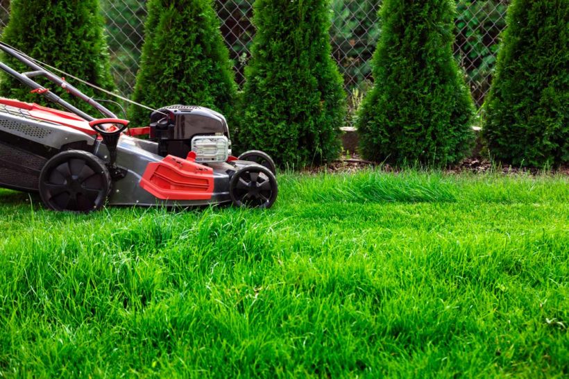 tondre son gazon devient très cher