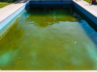 comment éliminer des algues d'une piscine ?