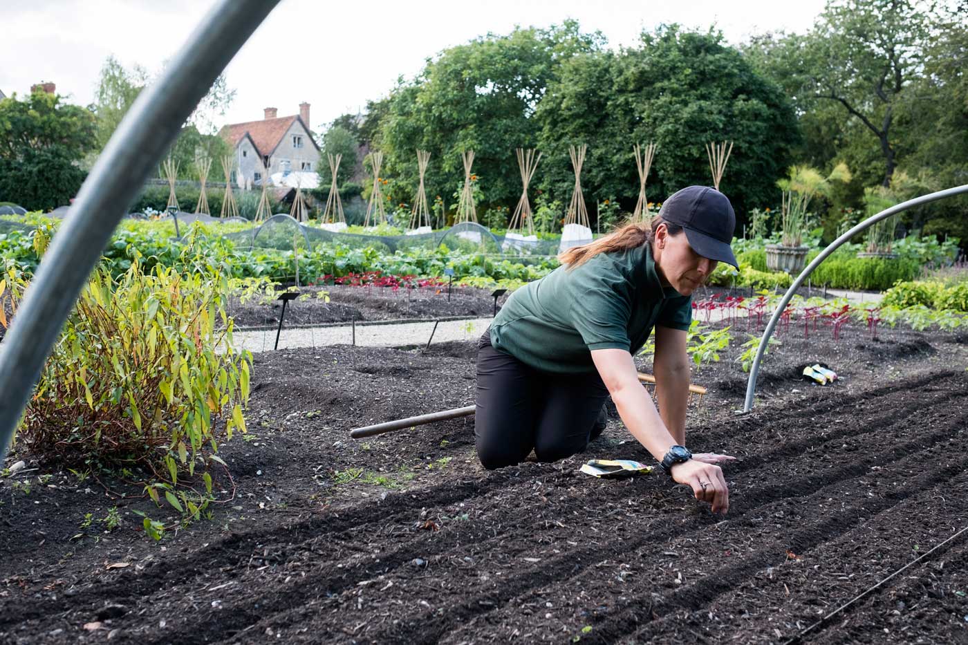 quels légumes plantes,nter en été au mois de juillet ?