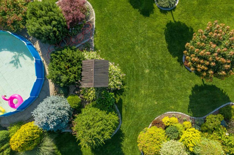 Jardin et piscine quelles plantes choisir pour fleurir autour de la — free download