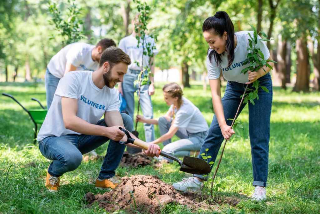 bien planter un arbre dans votre jardin