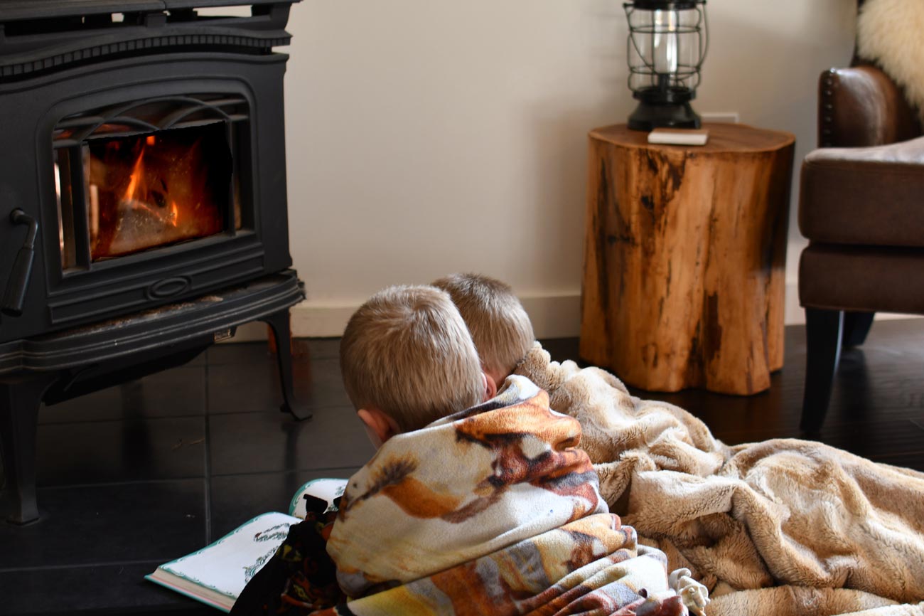 choisir le bon poêle à bois pour sa maison