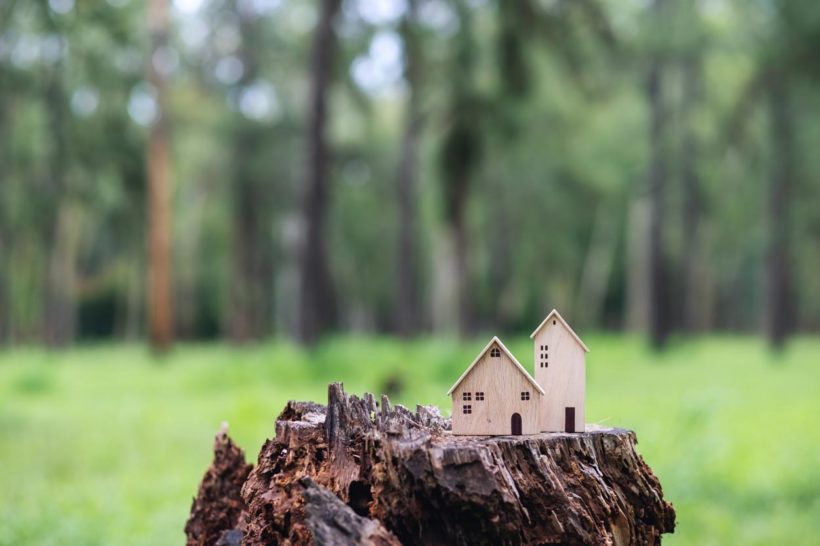 Comment décorer une souche d'arbre ?