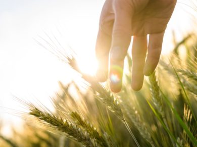 la météo agricole à Angers
