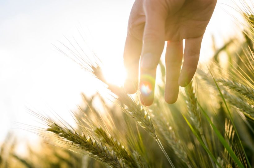 la météo agricole à Angers