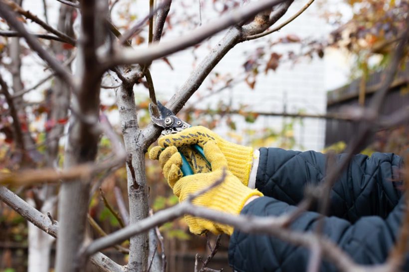 Quand Faut-il mettre un voile d'hivernage ?