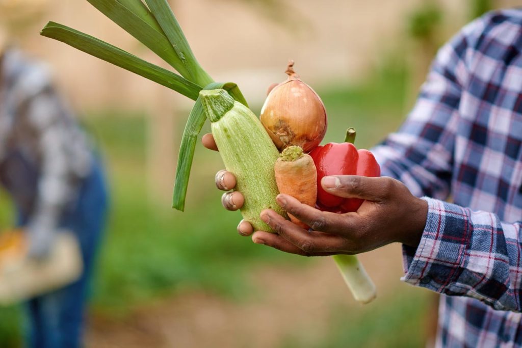 Le Potager D'à Coté : acheter en local