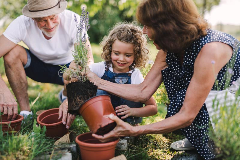 mal de dos et jardinage : comment l'éviter ?