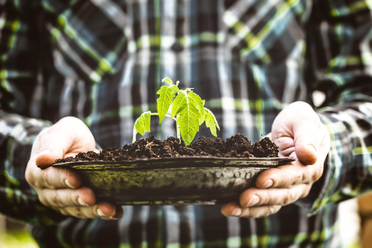 Créer facilement un potager d'intérieur