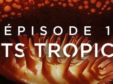 Les superpouvoirs des plantes sur France 5 / DR France5