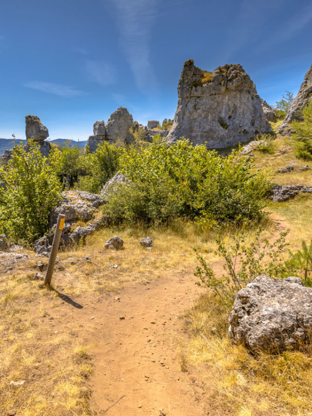 Des racines et des ailes «La Lozère au cœur»
