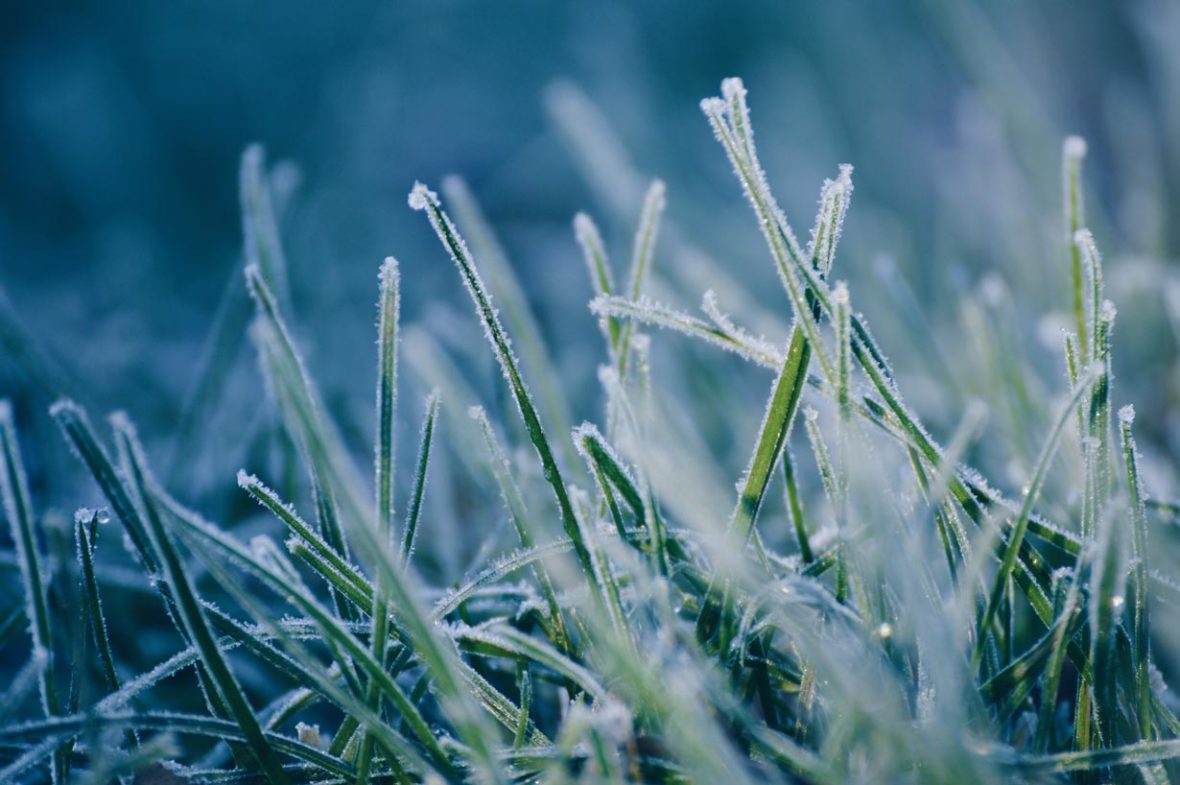 comment entretenir votre pelouse en hiver ?