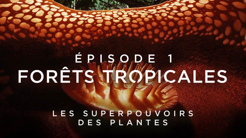 Les superpouvoirs des plantes sur France 5 / DR France5