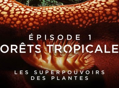 Les superpouvoirs des plantes sur France 5 / DR France5