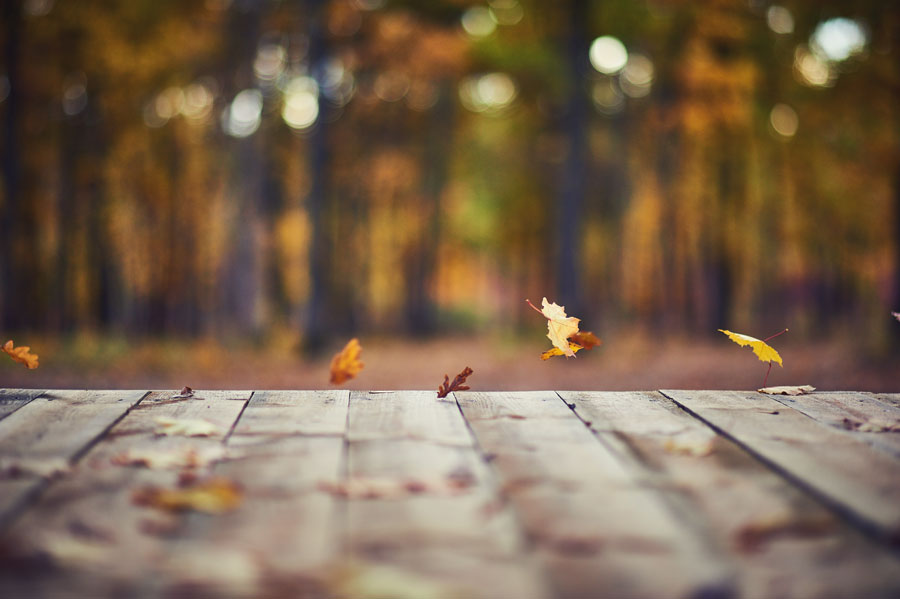 une terrasse en bois en automne