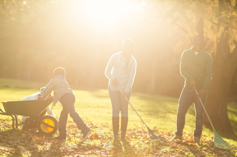 ramasser les feuilles mortes du jardin en famille