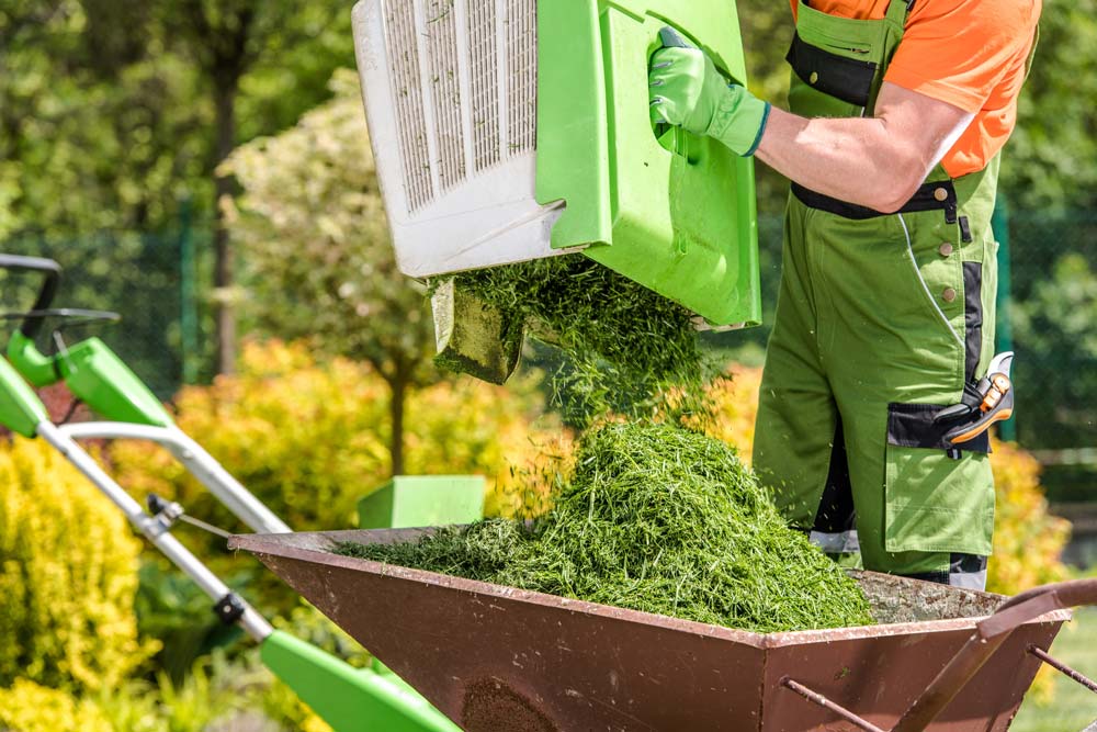 réutiliser l'herbe fraichement coupée